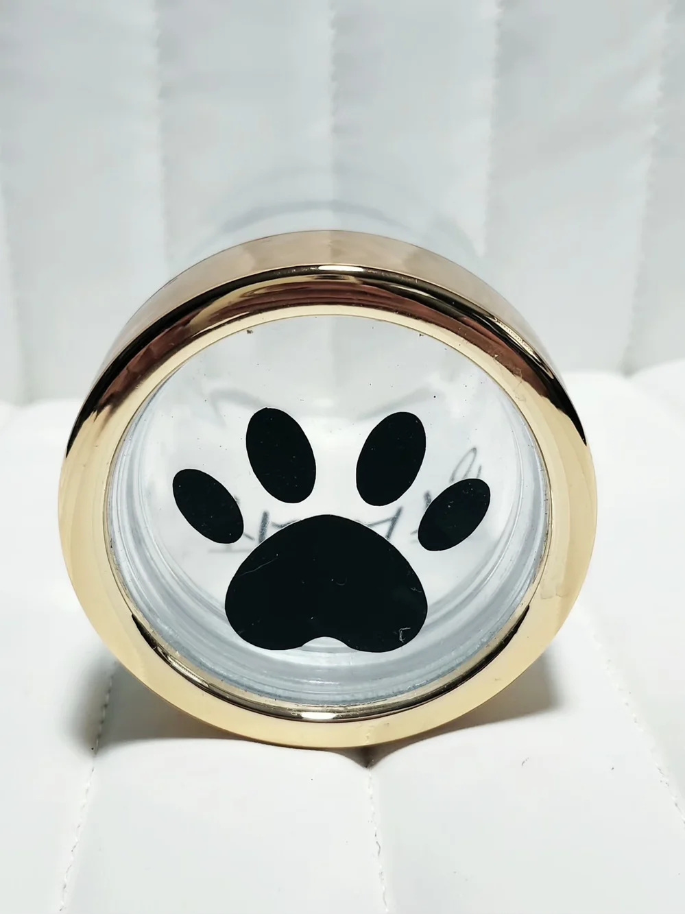 not sure clear dog